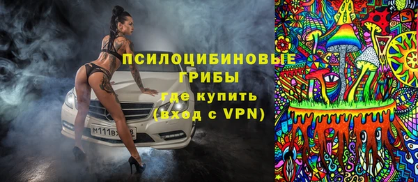 шишки Алексин