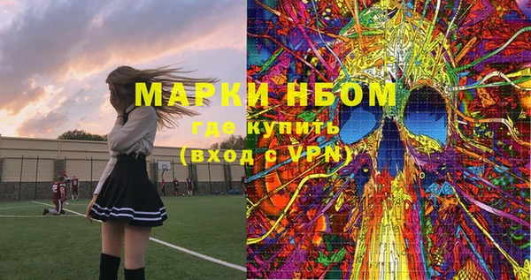 шишки Алексин