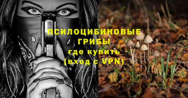 шишки Алексин