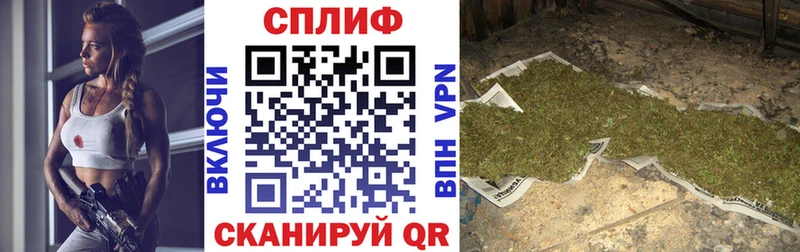 кракен маркетплейс  Алексеевка  Конопля семена 
